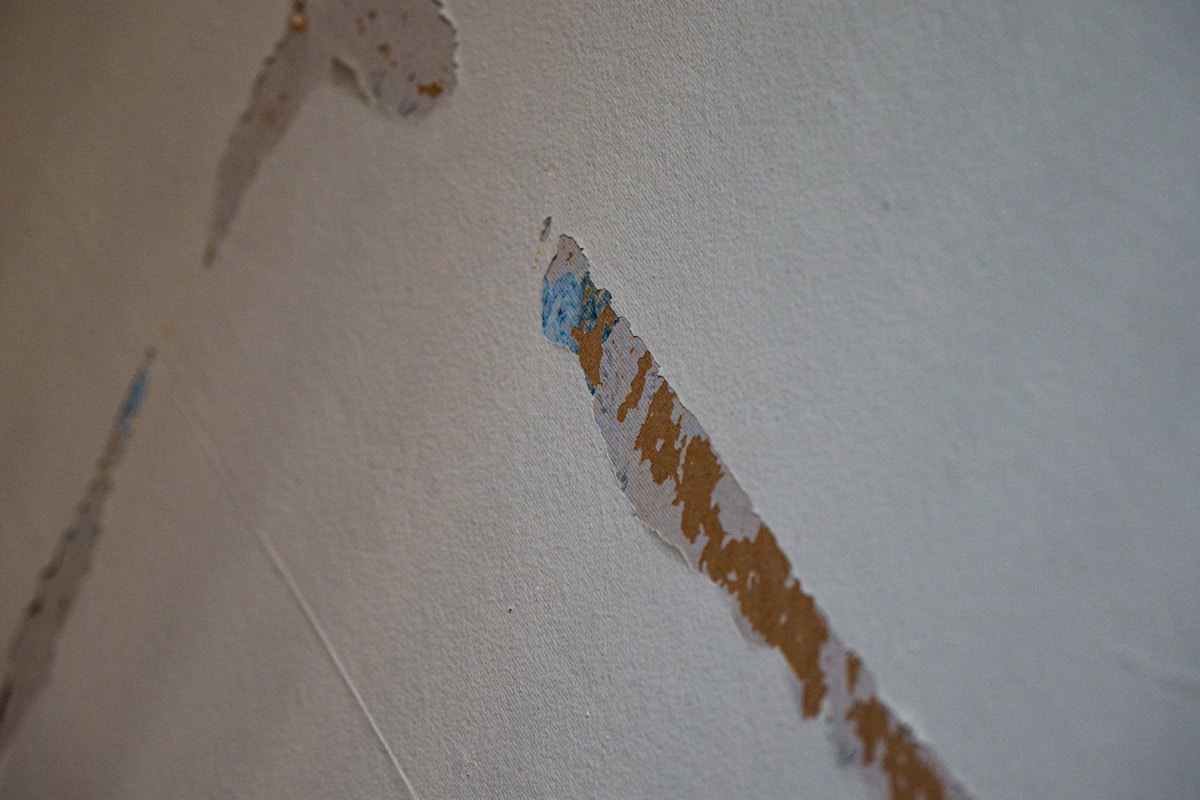 Storm Damage Repair service in Reston, VA